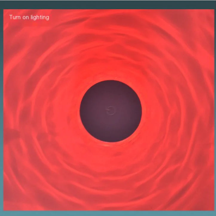 LED Touch Decorative Crystal Rose Lamp for Bedroom